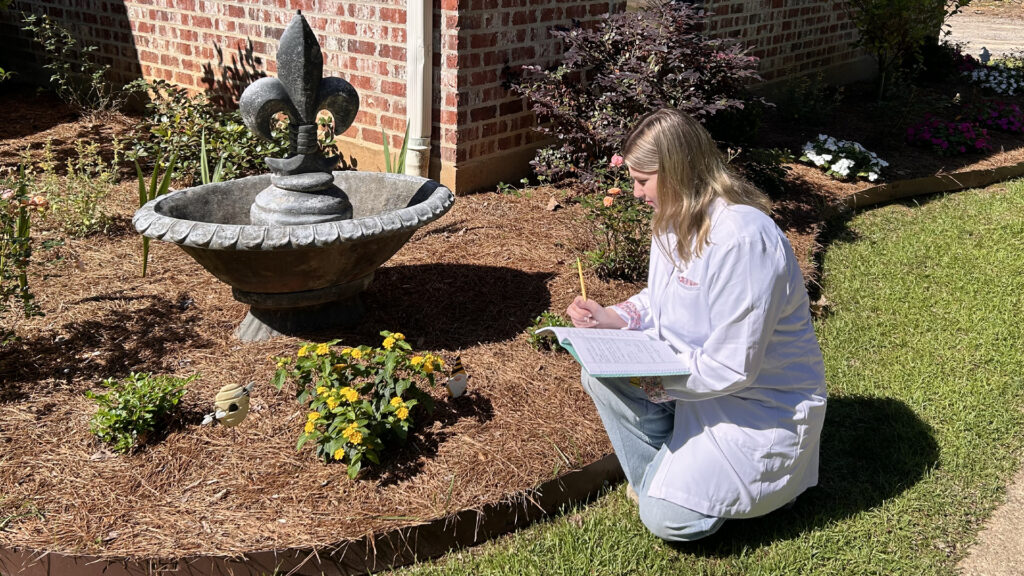 Emma Anthony documents insect collection research.