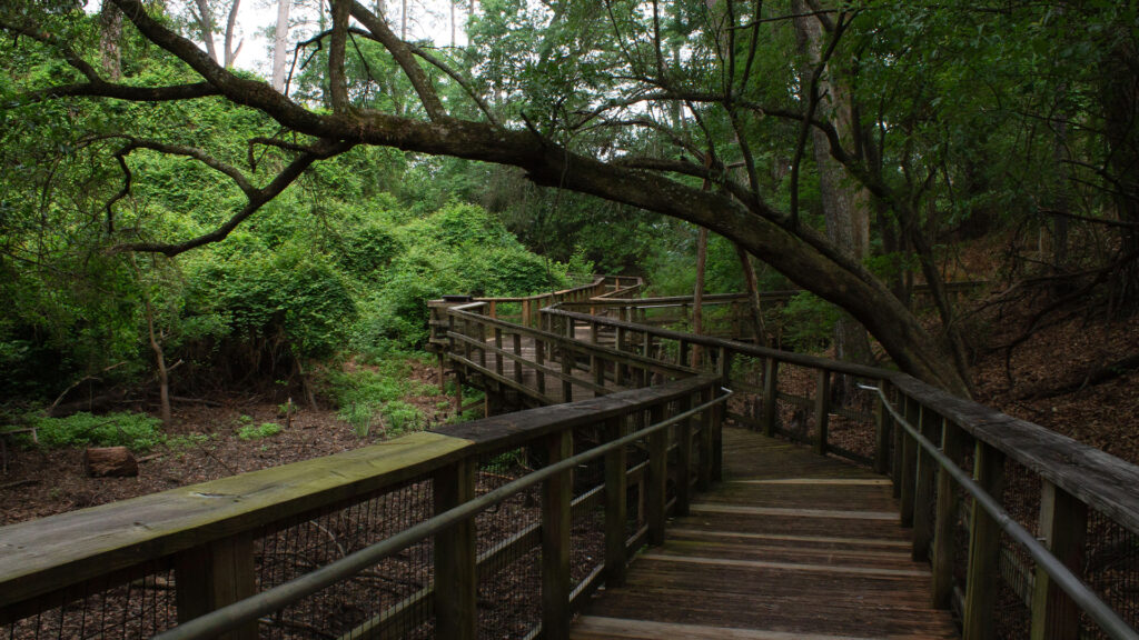 2FtRandolphBuhlow_trail